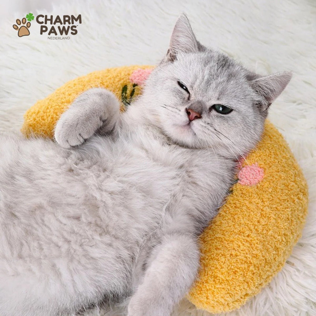 CharmPaws® Kalmerend Kussen - Voor Katten & Kleine Honden