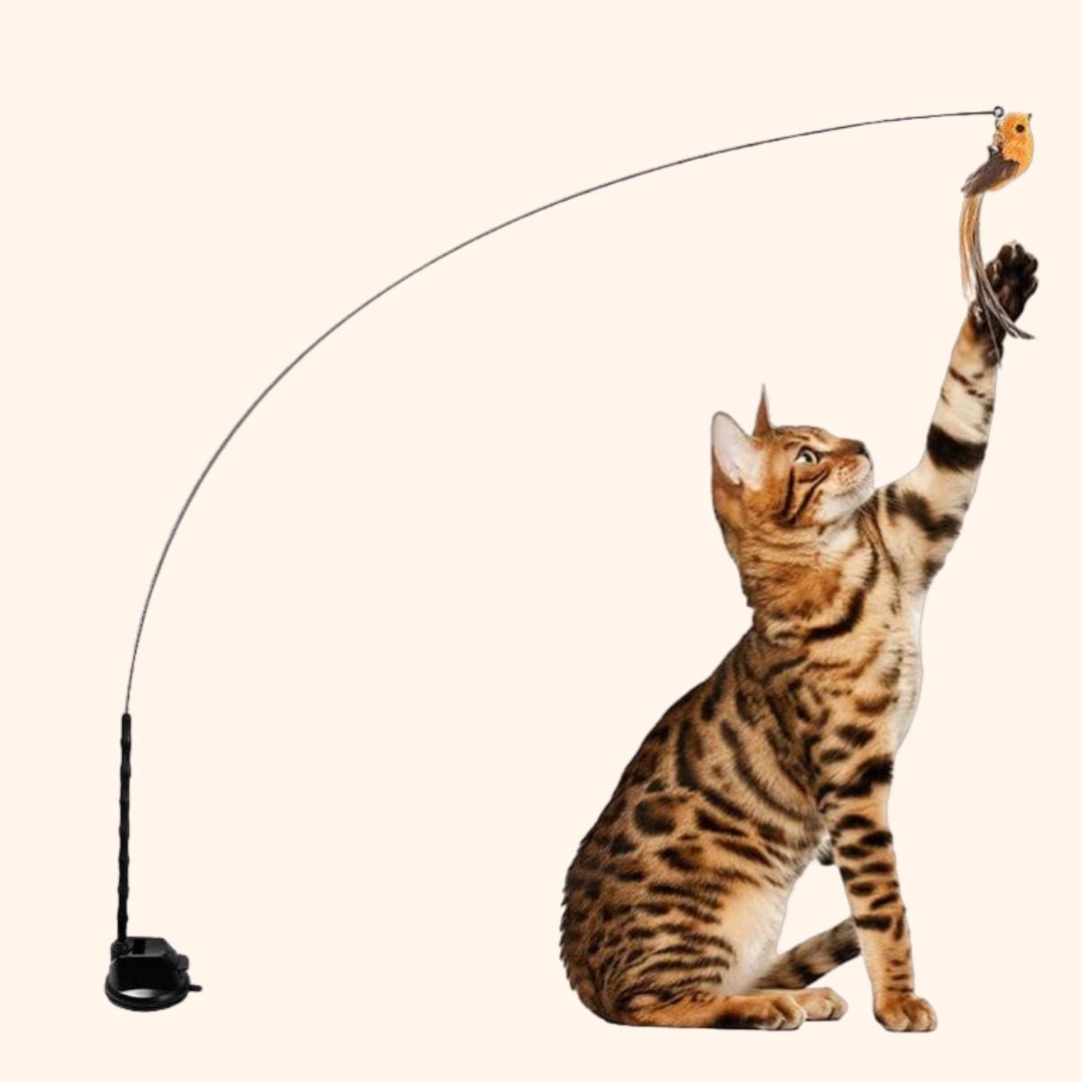 CharmPaws® Vogel Jacht-Simulator Set Original