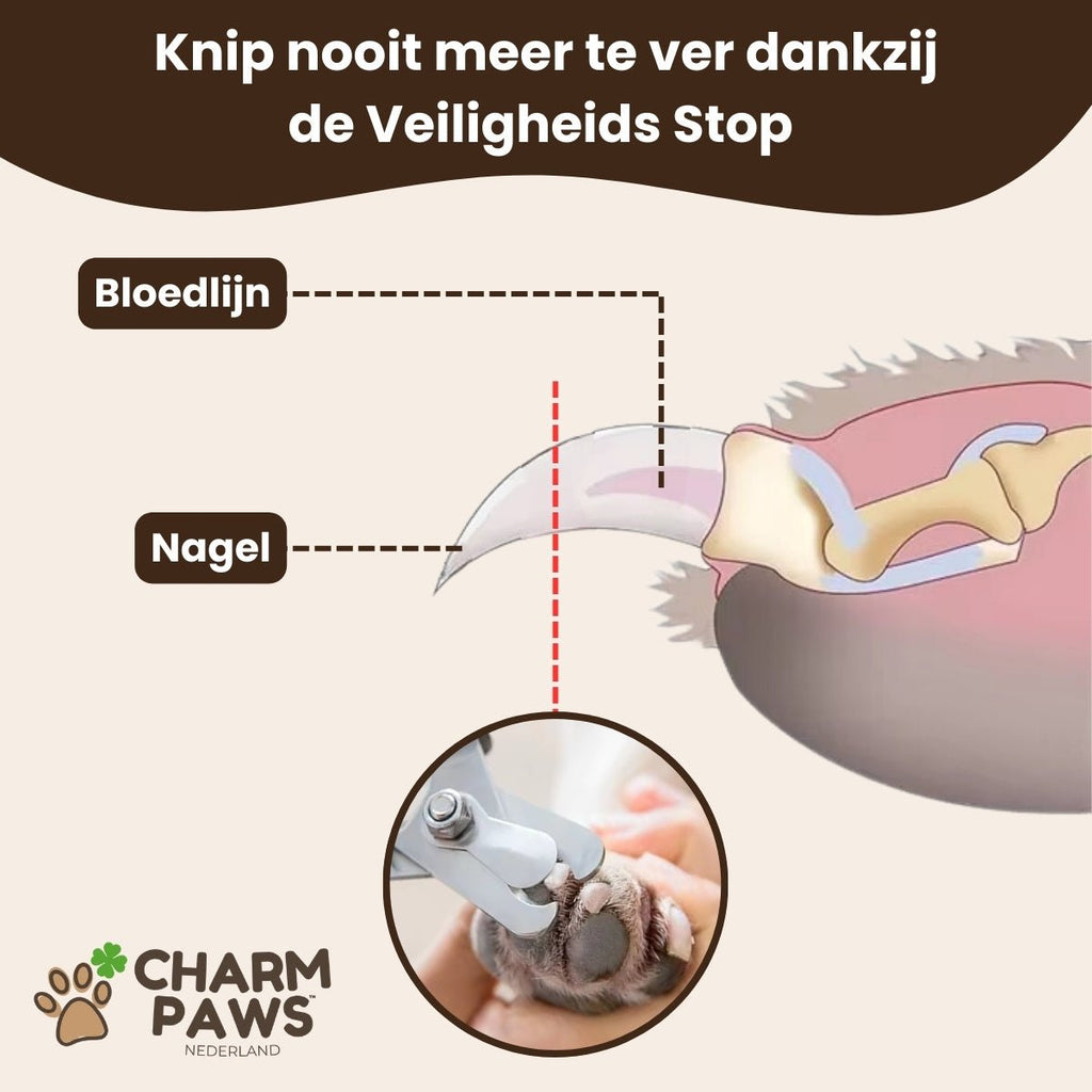 CharmPaws® Professionele Poot Verzorging Set - Voor alle Honden & Katten