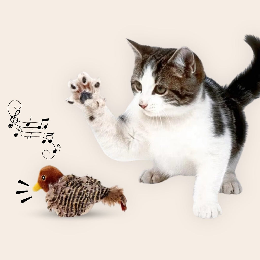 CharmPaws® Realistische Simulatie Vogel voor Katten - Kleine Mus (Tjilpt)