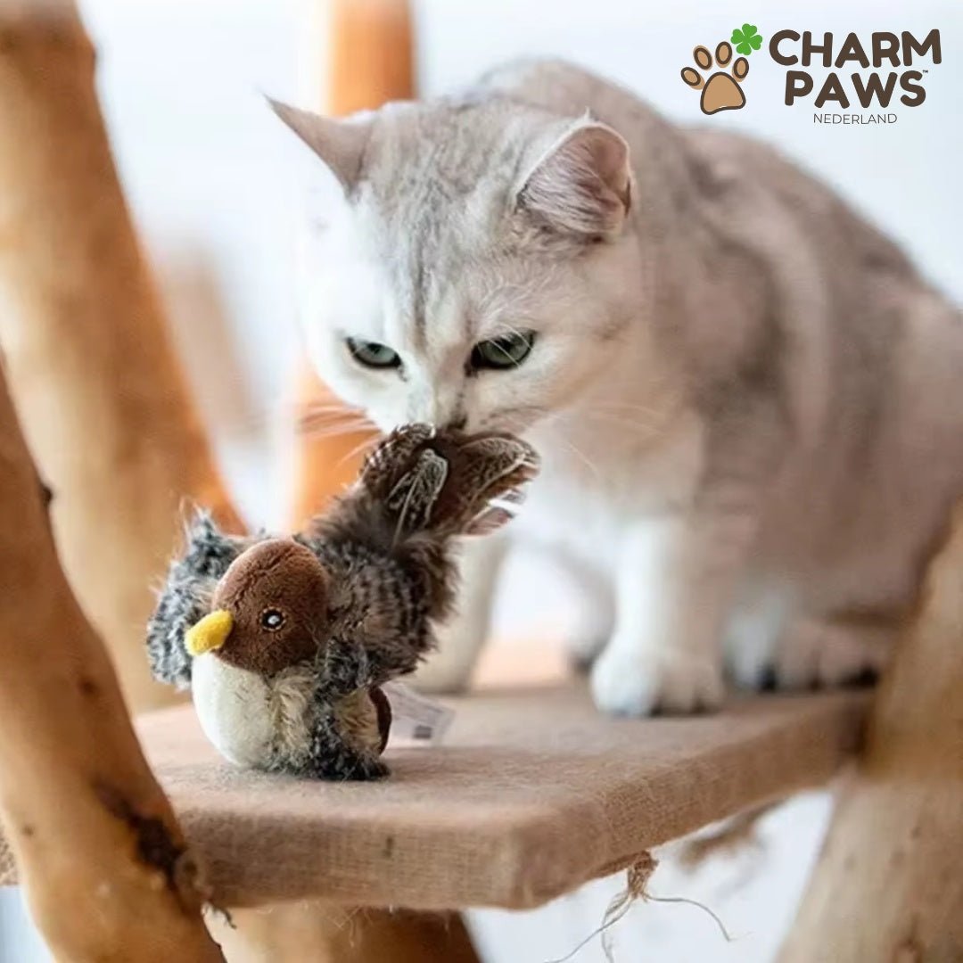 CharmPaws® Realistische Simulatie Vogel voor Katten - Kleine Mus (Tjilpt)