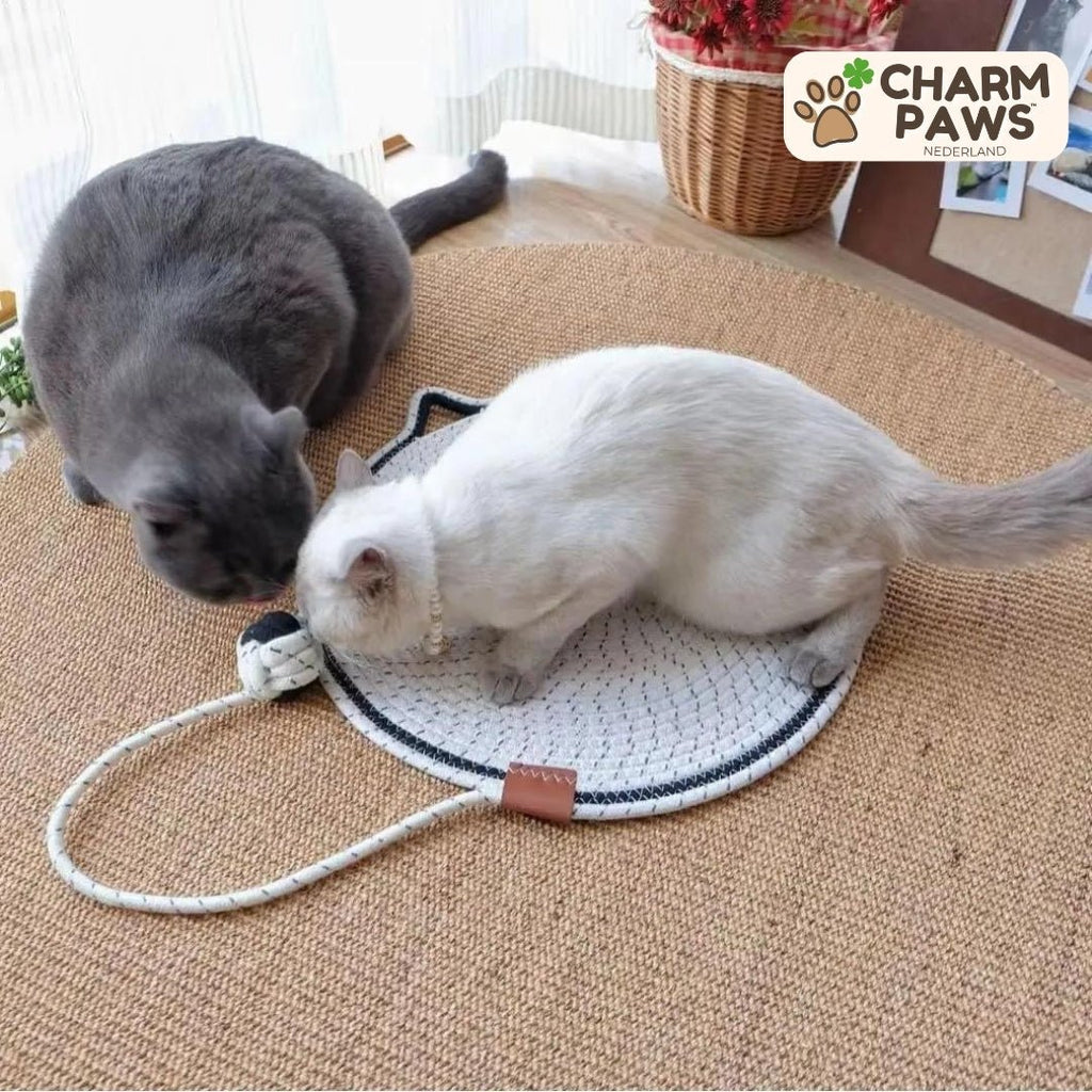 CharmPaws® Ronde Krabmat met Bal