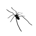 🕷️ Spinnenmagneet voor de Koelkast | Realistisch, Sterke Magneet & Perfect voor Grappen – Nu 50% Korting 🎁