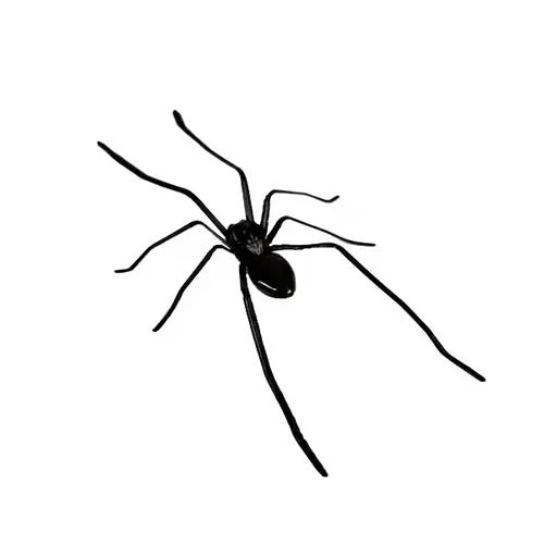🕷️ Spinnenmagneet voor de Koelkast | Realistisch, Sterke Magneet & Perfect voor Grappen – Nu 50% Korting 🎁