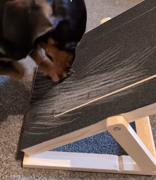 Houten Honden Nagelkrabber | Slijt Nagels Zonder Schade