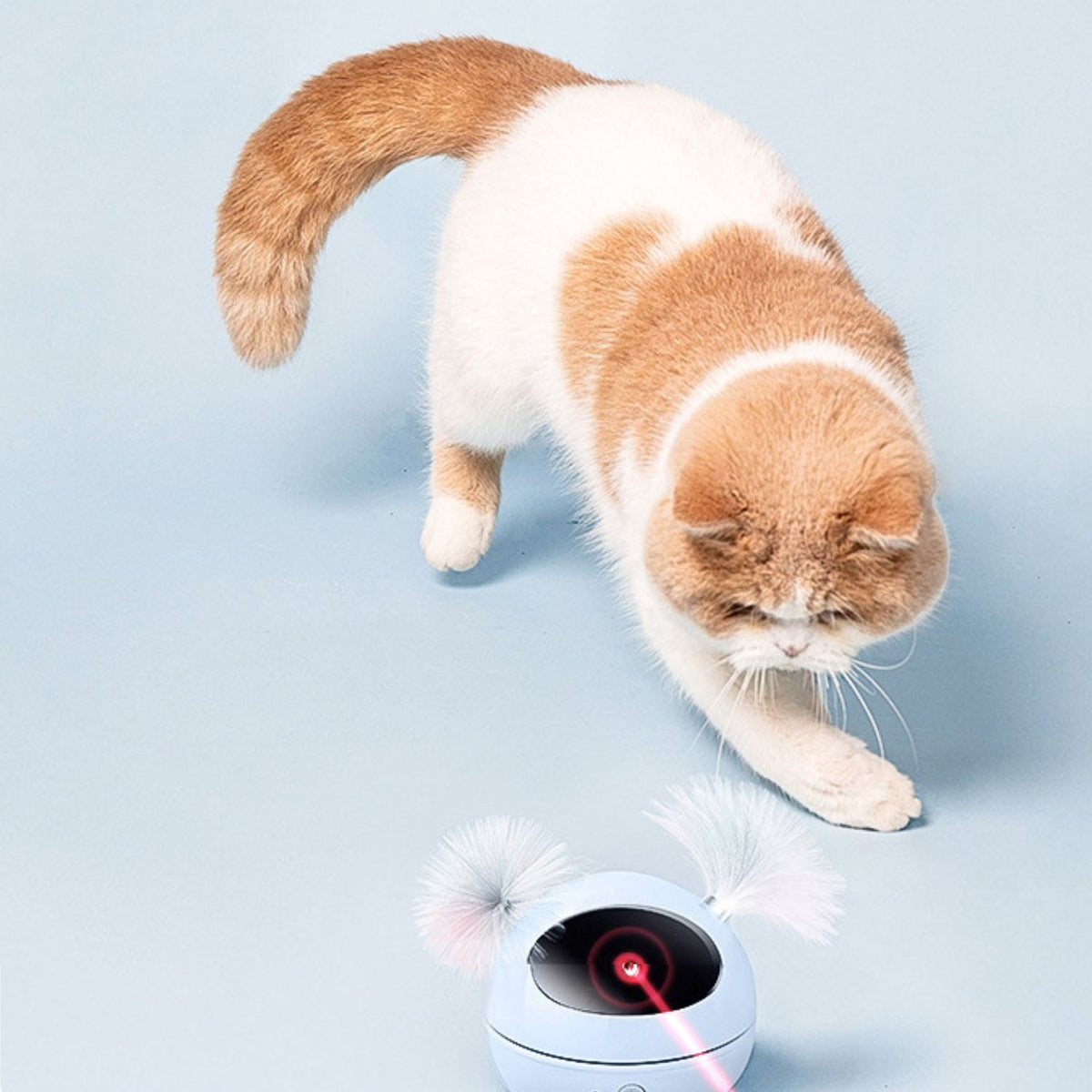 Interactief Laserspeeltje voor Katten | Eindeloos Speelplezier