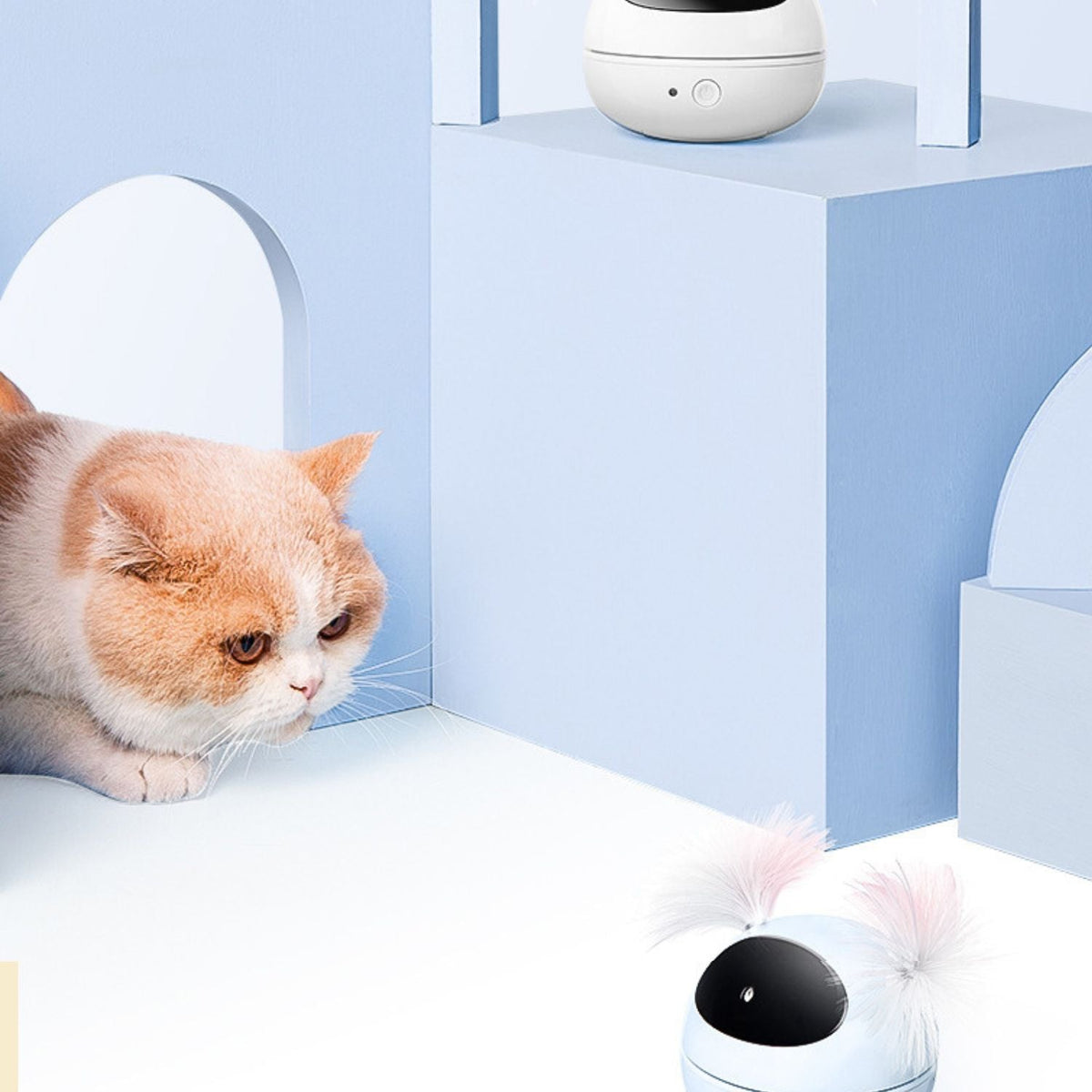 Interactief Laserspeeltje voor Katten | Eindeloos Speelplezier