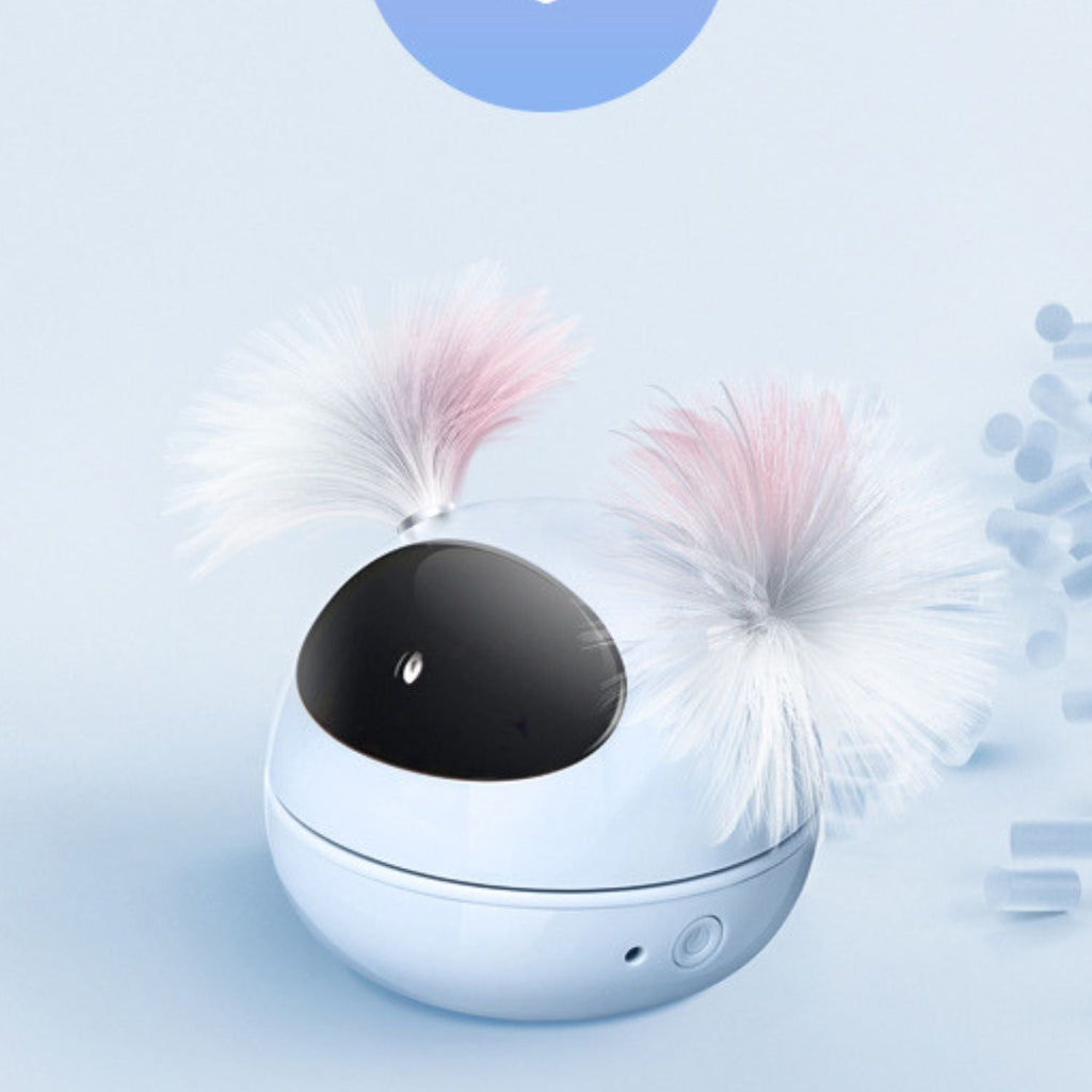 Interactief Laserspeeltje voor Katten | Eindeloos Speelplezier