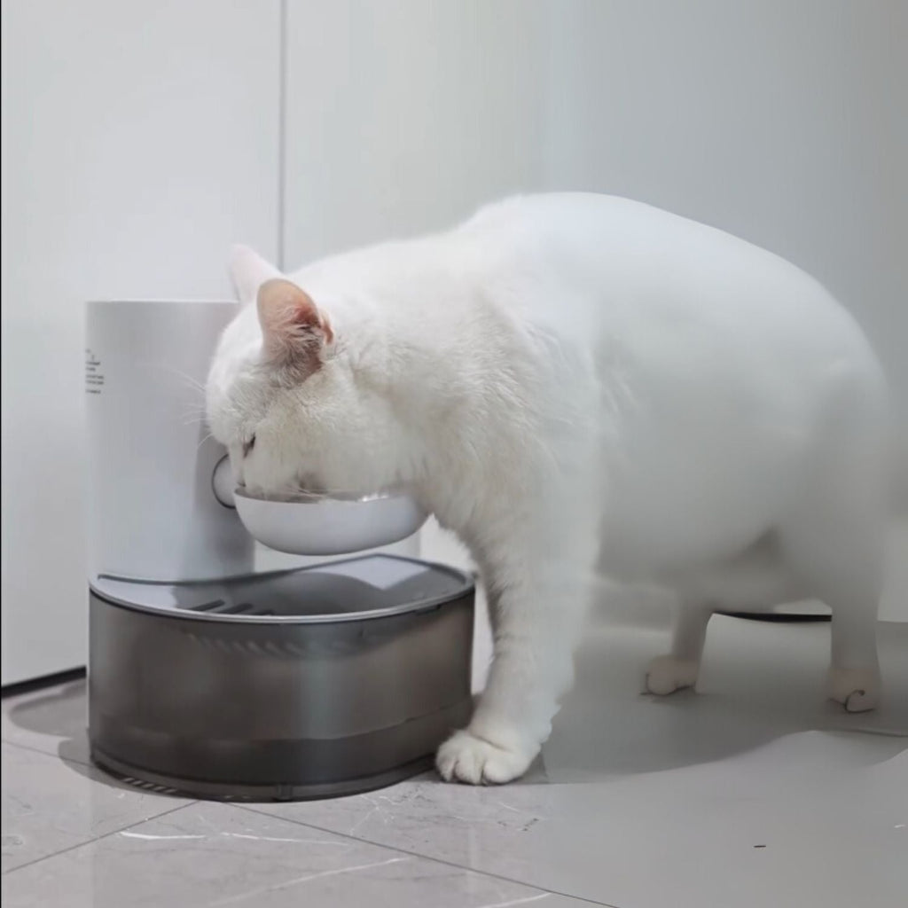 Automatische Drinkfontein | Automatisch & Oplaadbaar Waterstation