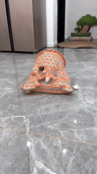 Katten Tunnelzak met Knisper | Zelfspel & Jachtplezier