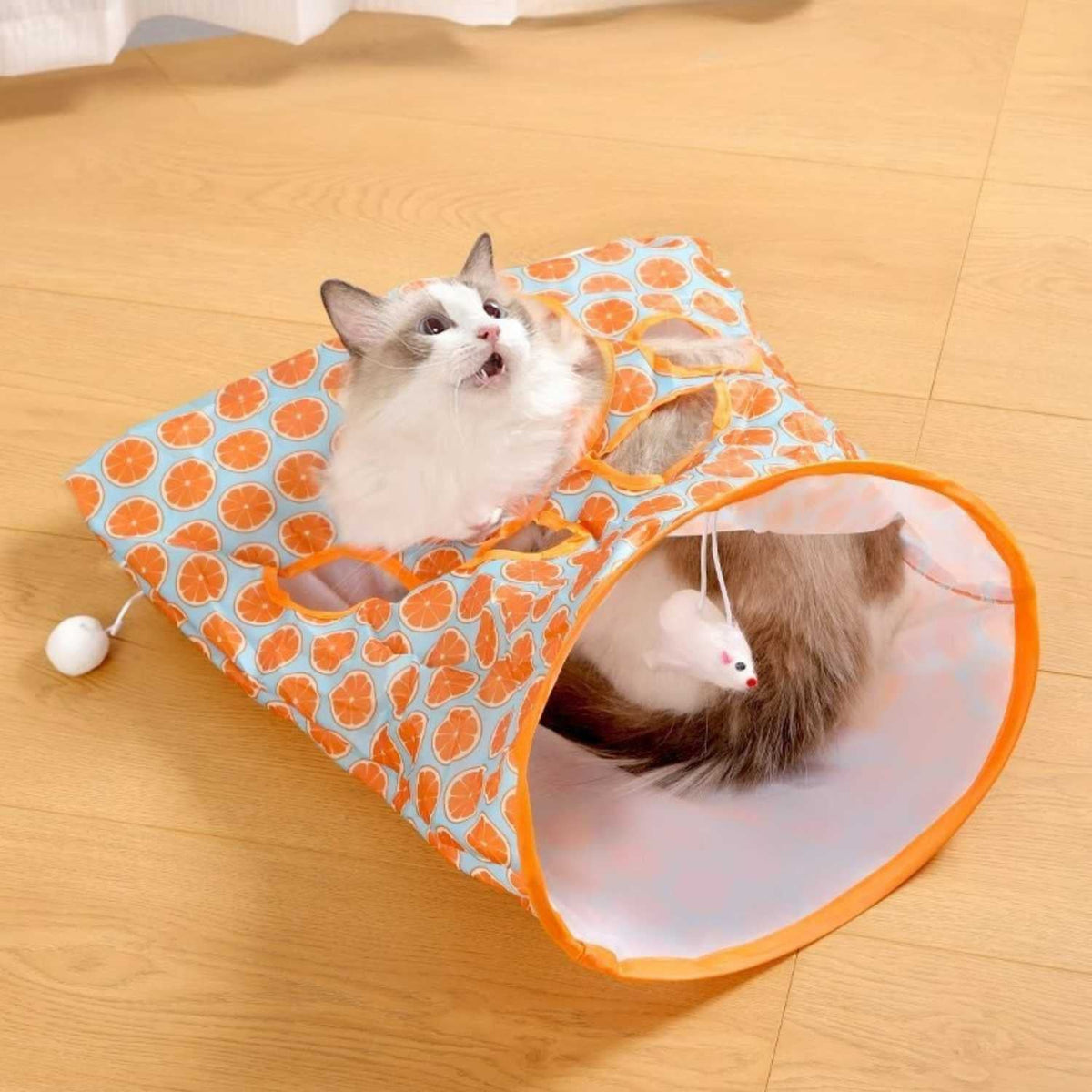 Katten Tunnelzak met Knisper | Zelfspel & Jachtplezier