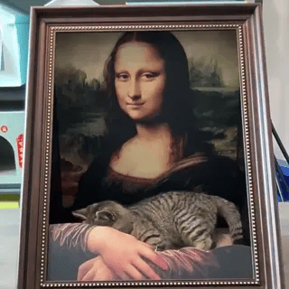 Kattenkrabplank & Fotolijst 3D Olieverf | Krabplank 3D Schilderij