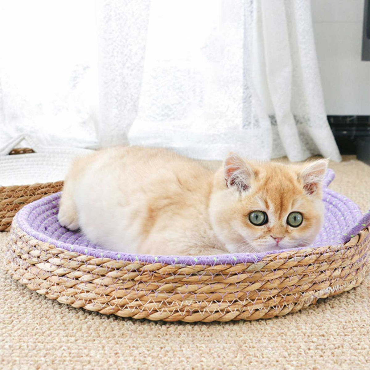 Kattenmand en krabplank | Slijtvast Krabbord & Comfortabel Bed