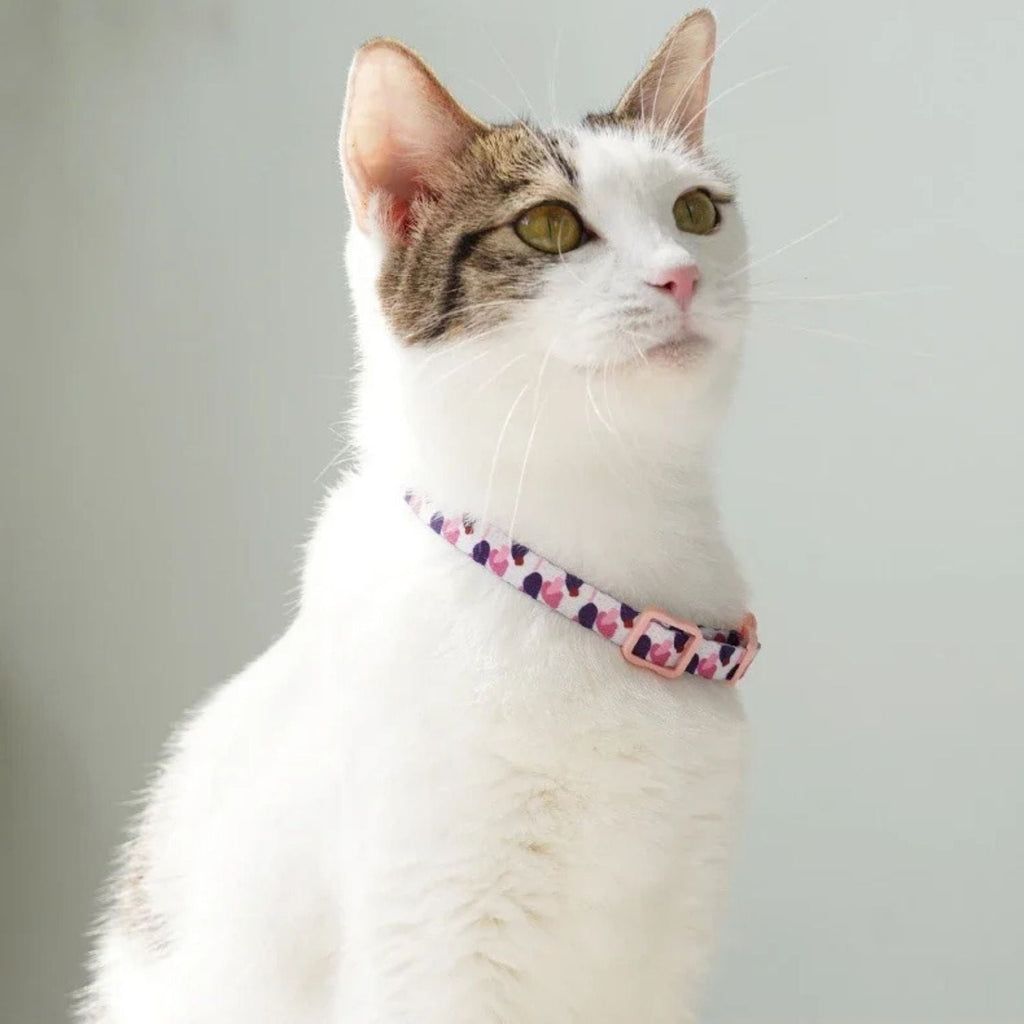 Kattenhalsband met anti-verstikkingsgesp
