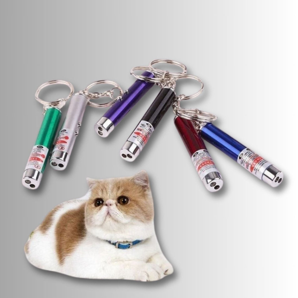 Laserspeeltje voor Katten 🐾 Set van 6 🐾