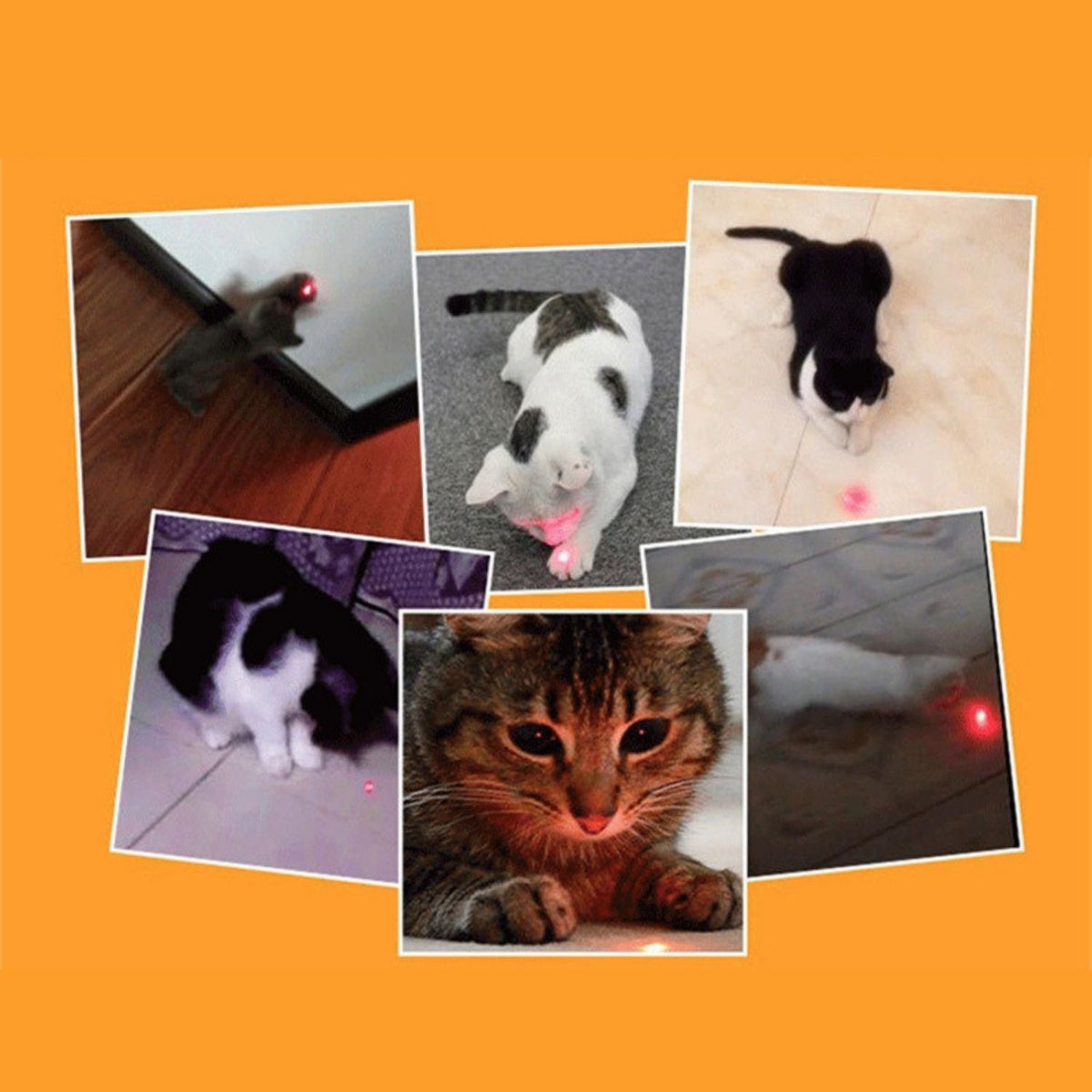 Laserspeeltje voor Katten 🐾 Set van 6 🐾