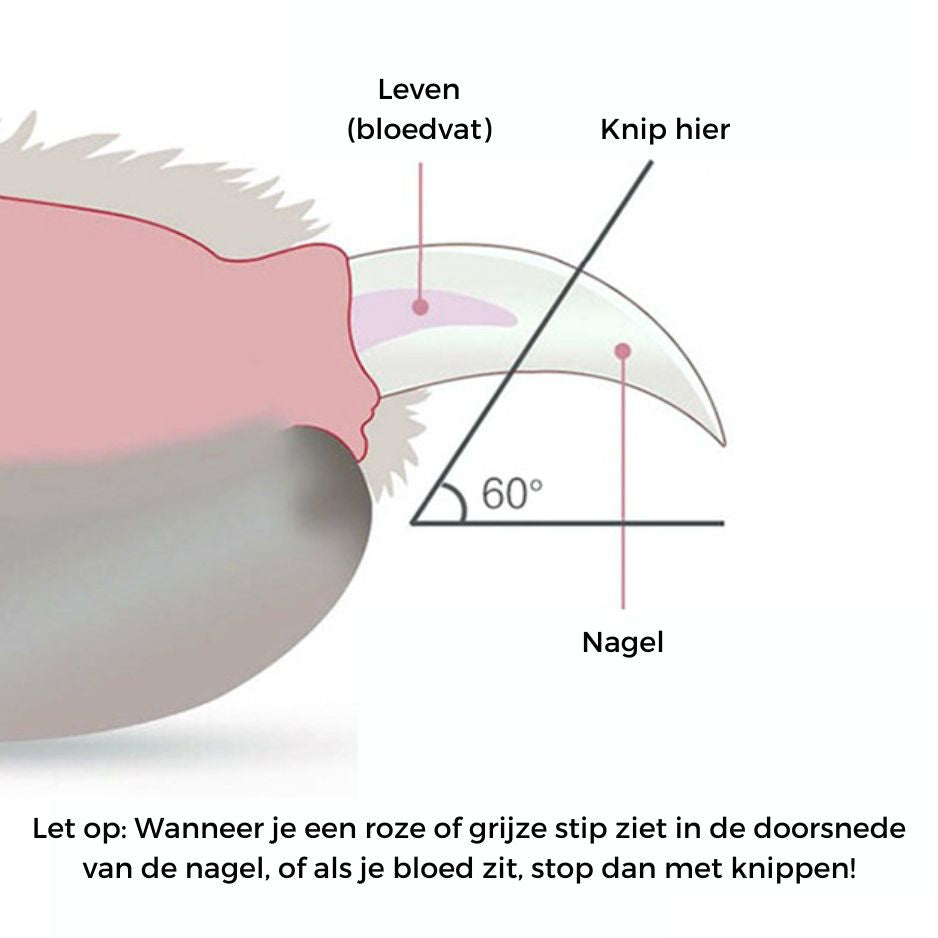 Nagelknipper voor Honden en Katten | Snelle en gemakkelijke nagelverzorging