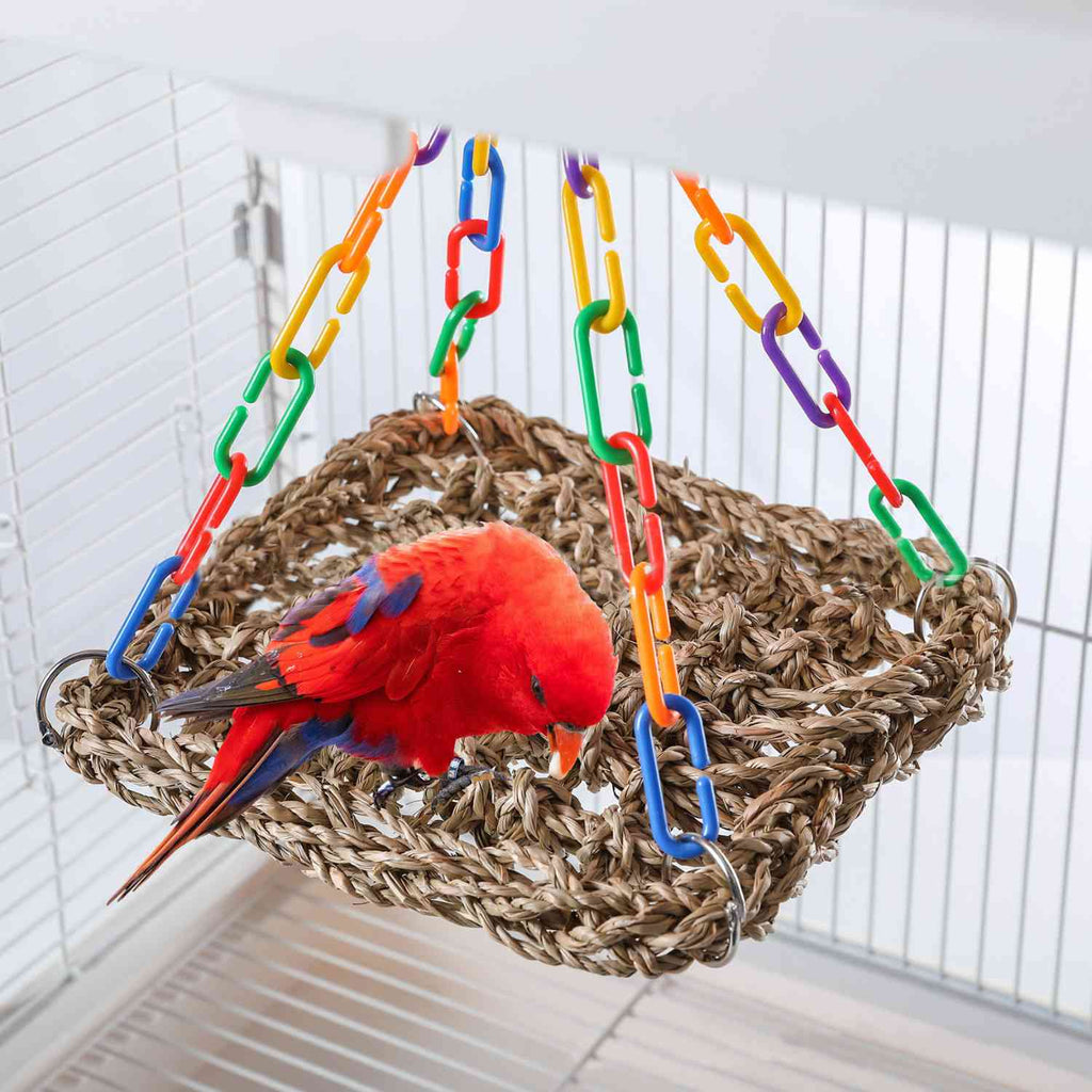 Vogel Hangmat Regenboog | Comfort & Speelplezier Vogelkooi