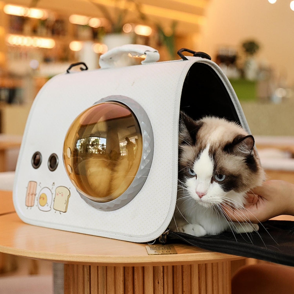 Schoudertas Kattenmand met Kijkgat