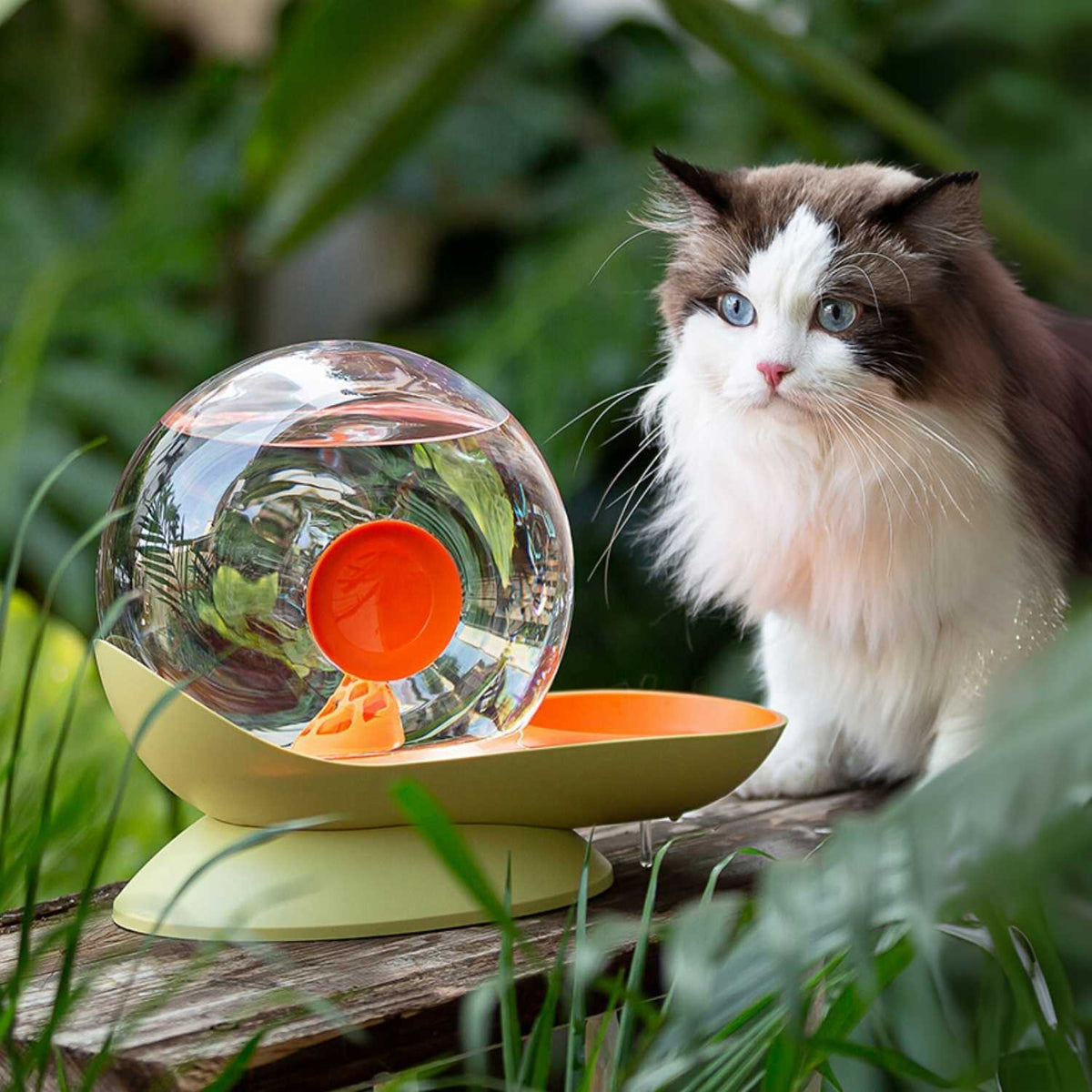 Slak Drinkfontein Kat | Slim & Automatisch Gefilterd Water