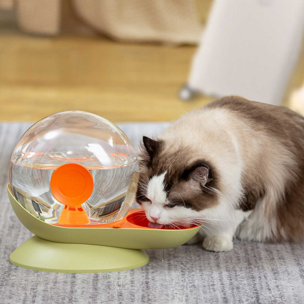 Slak Drinkfontein Kat | Slim & Automatisch Gefilterd Water