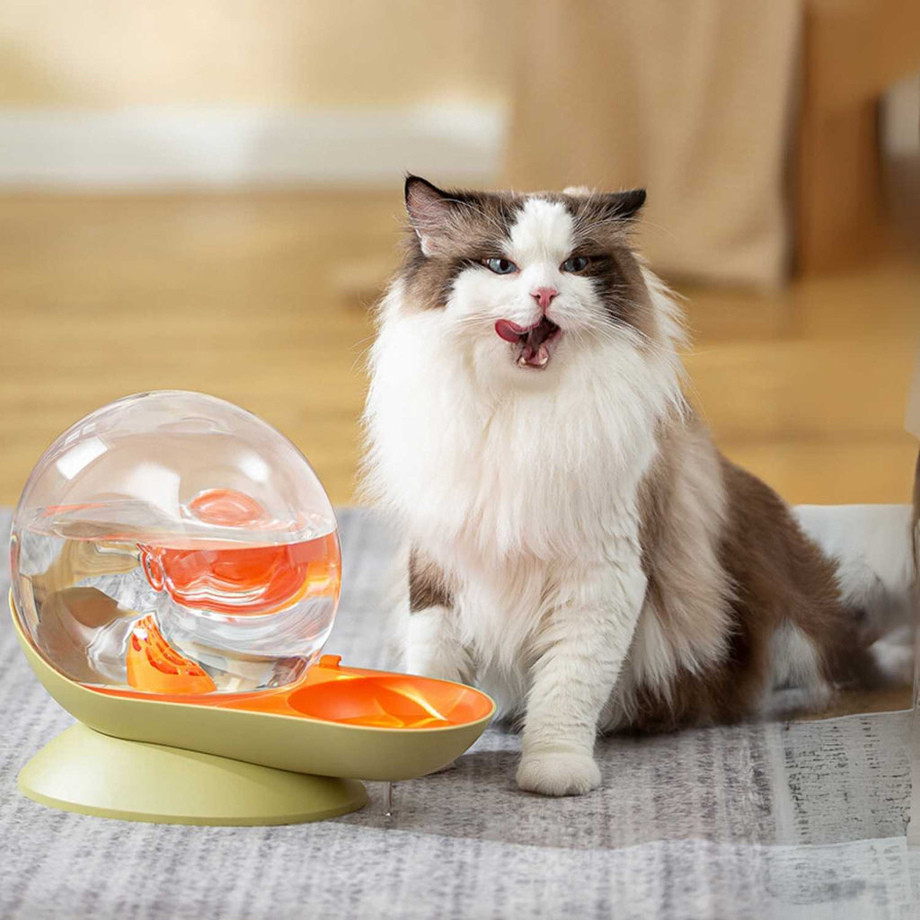 Slak Drinkfontein Kat | Slim & Automatisch Gefilterd Water