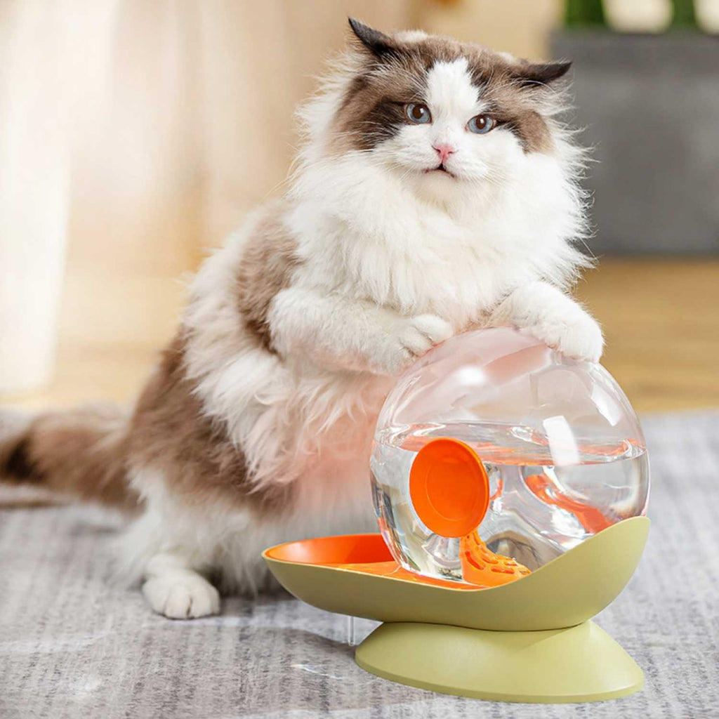 Slak Drinkfontein Kat | Slim & Automatisch Gefilterd Water