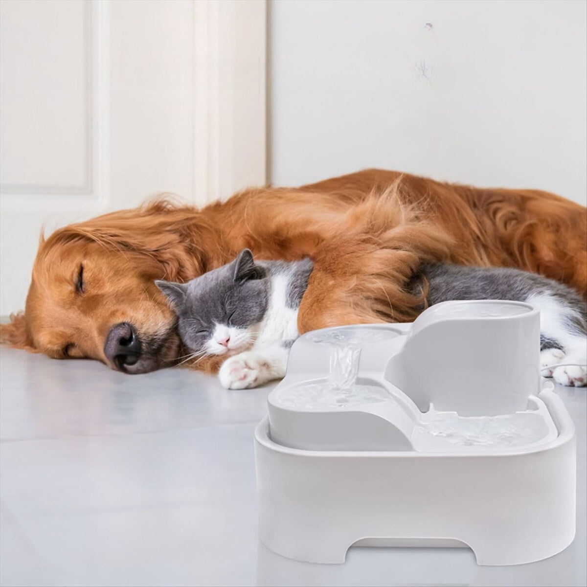 4-laags Waterfontein Voor Katten En Honden
