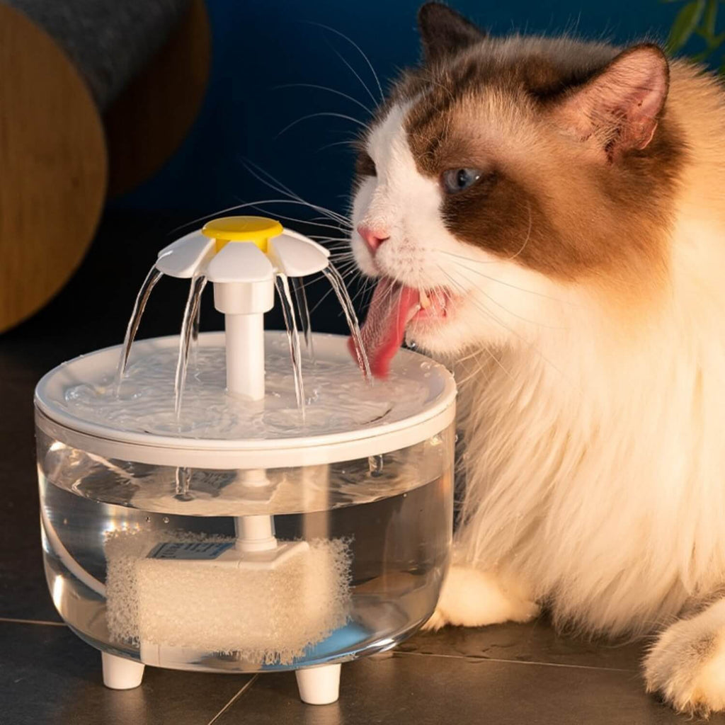 Waterfontein voor katten en honden (Ook geschikt als vogeldouche)