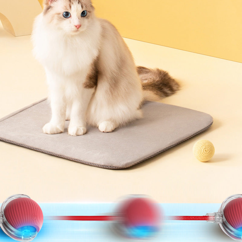 🐱🐶Slimme Automatisch Rollende Dierenbal💥