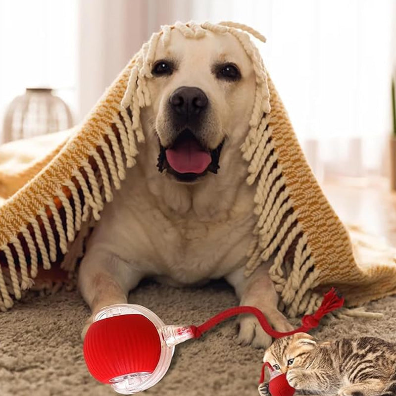 🐱🐶Slimme Automatisch Rollende Dierenbal💥