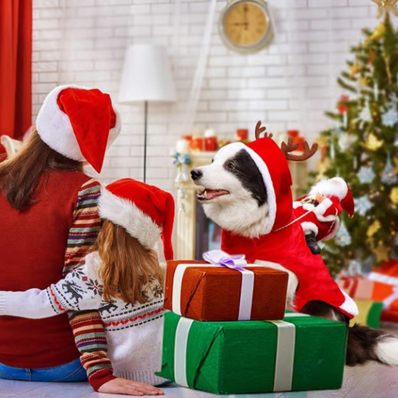 🐕Hond Kerstkleding Kerstman Rijdend Hert 🎄