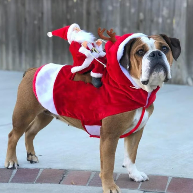 🐕Hond Kerstkleding Kerstman Rijdend Hert 🎄