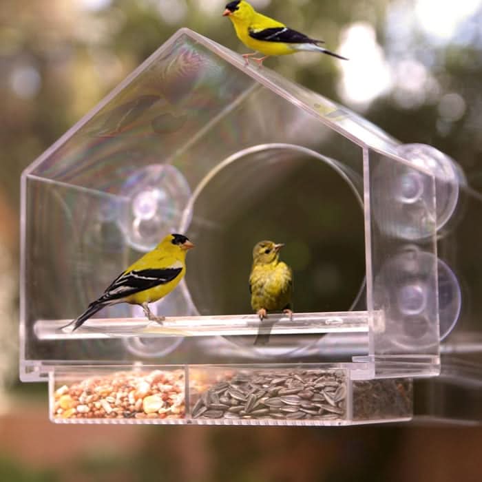 (🔥HOT SALE NU 50% UITVERKOCHT) -🐦 Vogelvoederhuisje voor ramen
