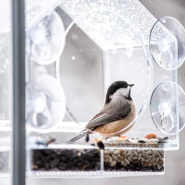 (🔥HOT SALE NU 50% UITVERKOCHT) -🐦 Vogelvoederhuisje voor ramen