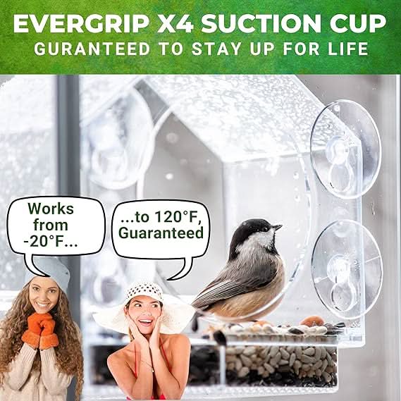 (🔥HOT SALE NU 50% UITVERKOCHT) -🐦 Vogelvoederhuisje voor ramen