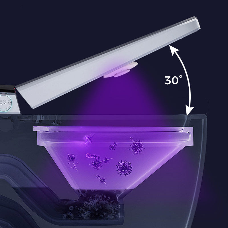 UV-toiletsterilisatielampset