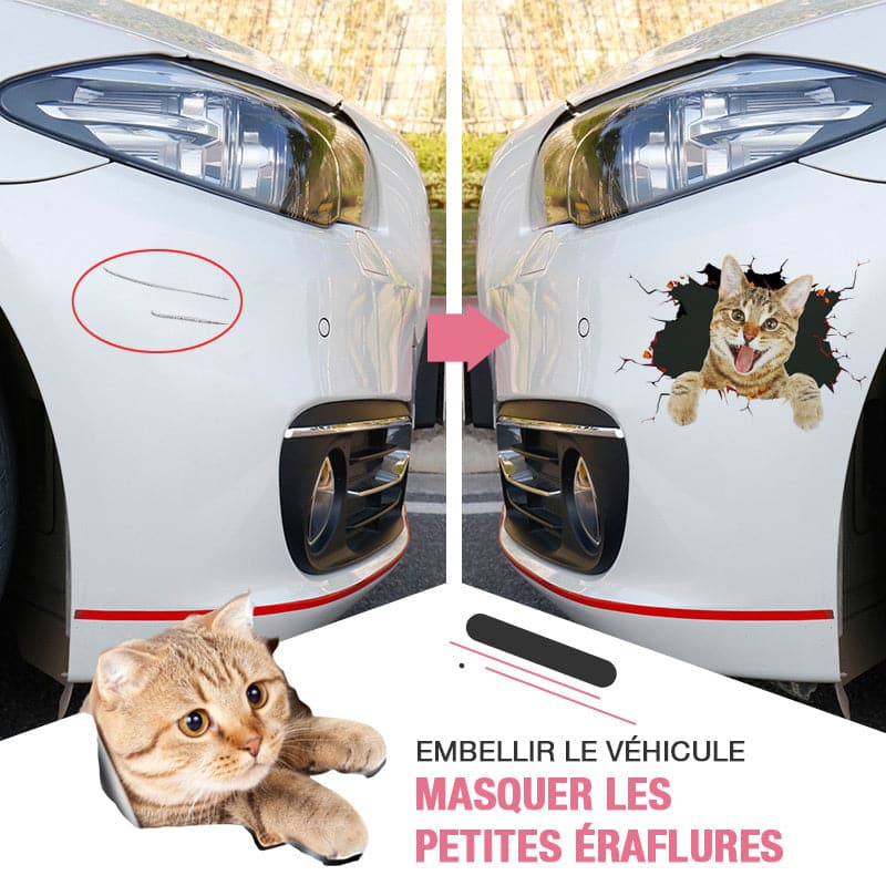 3D verwijderbare muurstickers met katten en honden