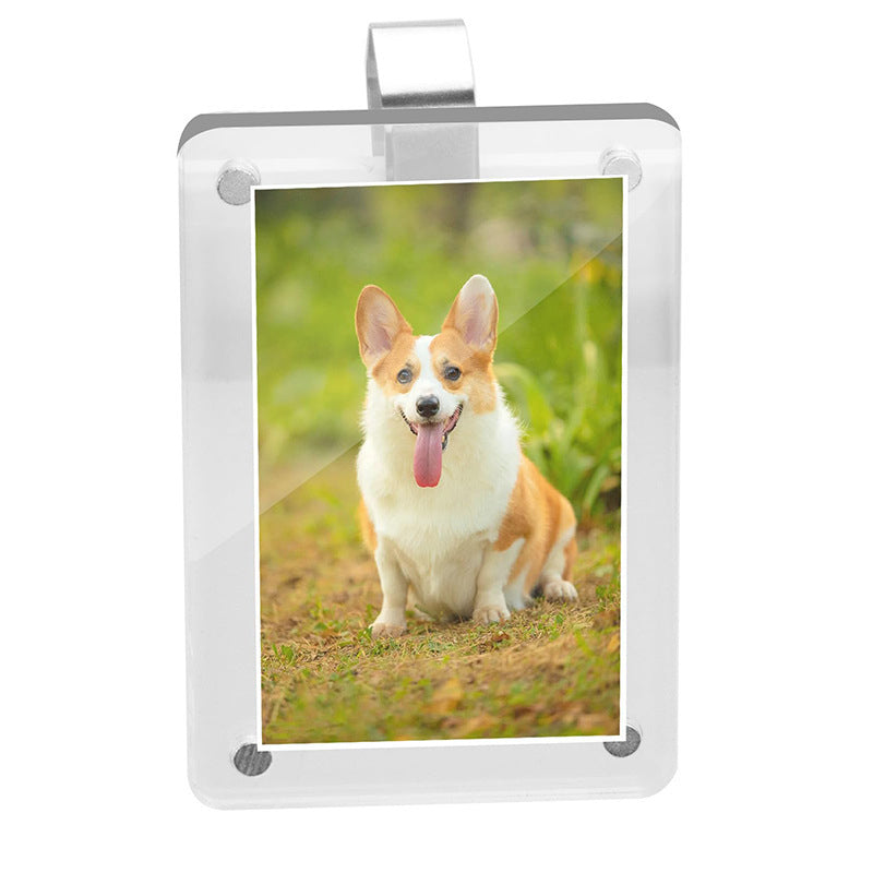 Draagbare magnetische fotolijst van acryl