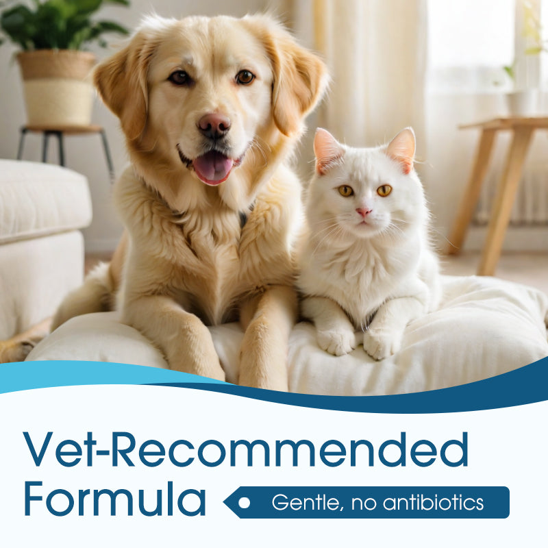 💥【LIMITED TIME 50% OFF】🔥 Oorreiniger voor Katten en Honden | Natuurlijke Plantenextracten | Mild & Antibioticavrij | Siliconen Punt | 120ml