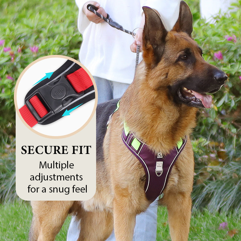 🐕 50% KORTING! 🔦 Anti-trek hondenharnas met LED-lijn en halsband – vermindert druk, zacht nylon en perfect voor nachtelijke wandelingen en training 🌙