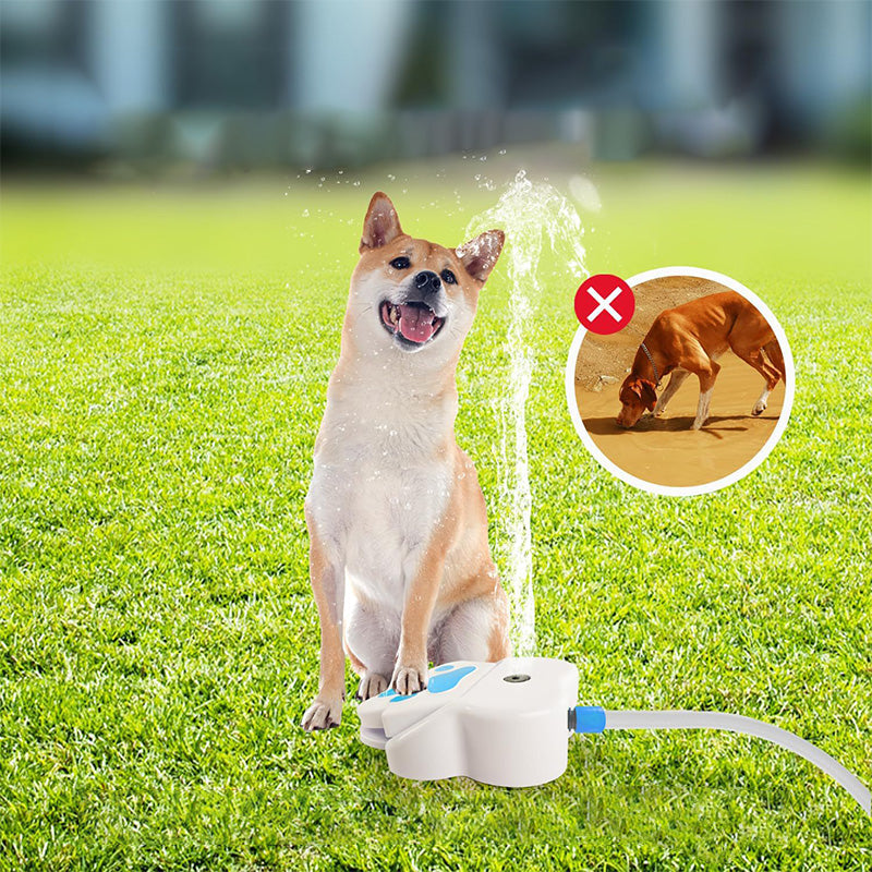 🎁2026 Nieuw binnen 50% KORTING💥Hond poot-geactiveerde waterfontei