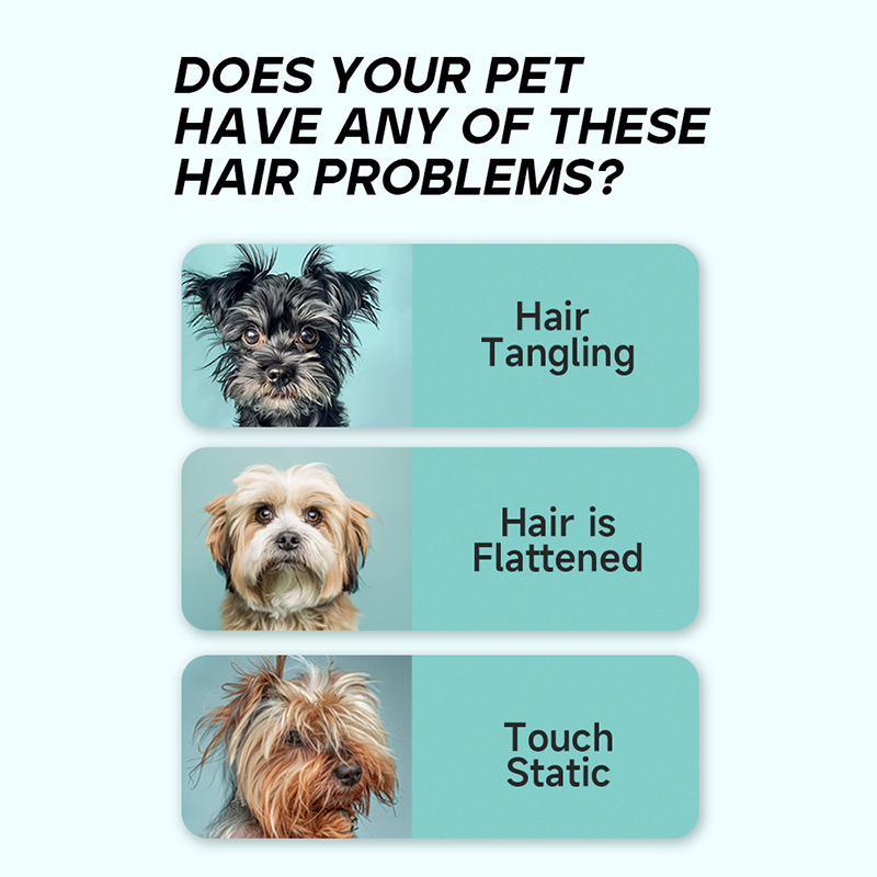 🐶🐱✨ Ontwarrende Spray voor Honden en Katten – Zachte Vachtverzorging zonder Gedoe