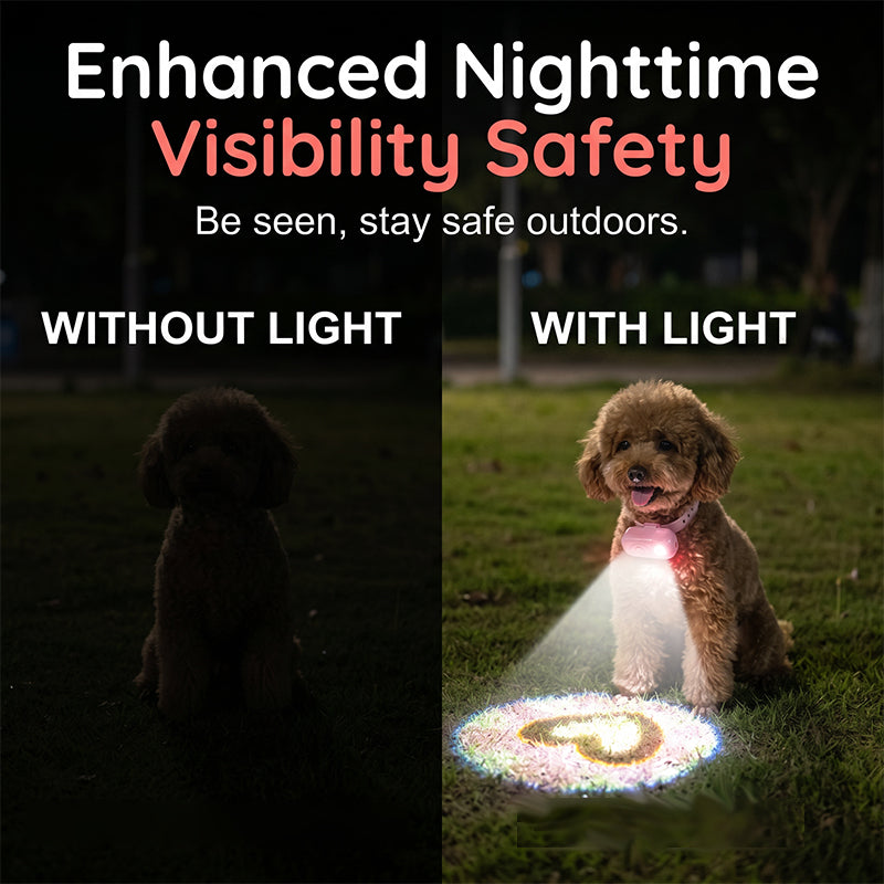 🔥LAATSTE DAG VAN DE UITVERKOOP 50% KORTING !!🐾Anti-verlies-halsband voor huisdieren met projectorlampje en raspatronen