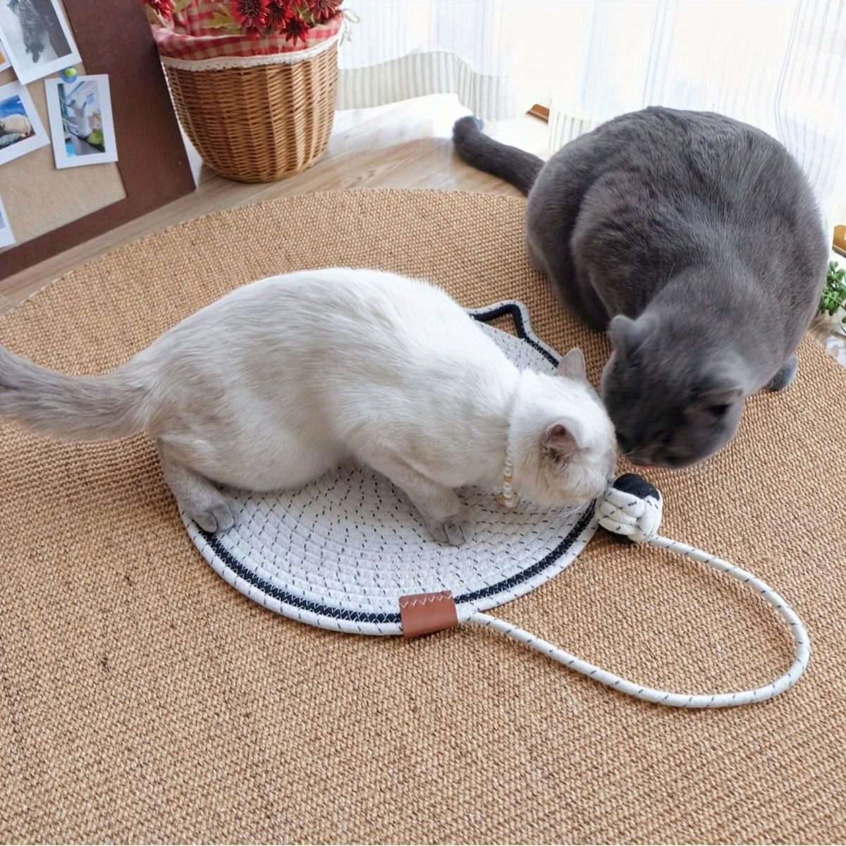 Geweven Katoenen Krabmat voor Katten