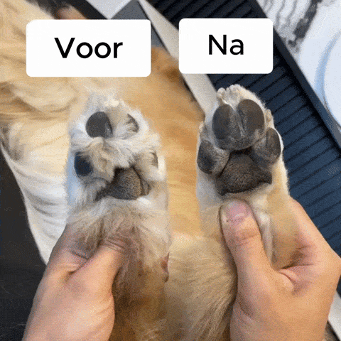 CharmPaws® PawBlade Pro - Professionele Precisie Trimmer voor alle Honden & Katten