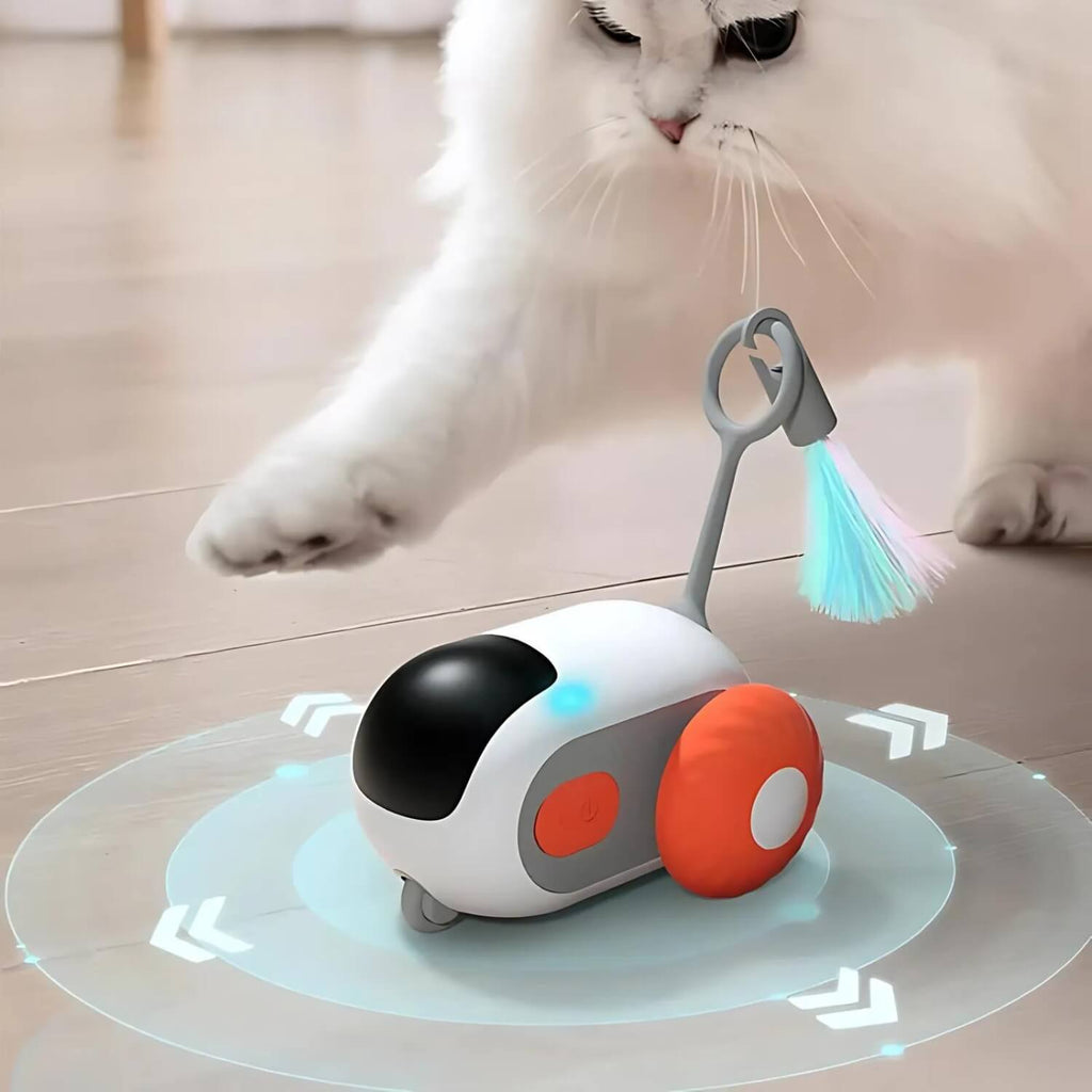 Interactief speeltje | Zelfrijdende auto voor katten en honden