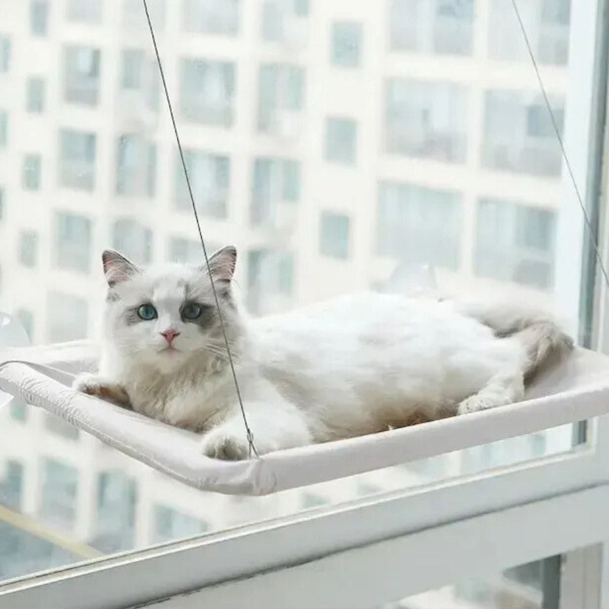 Zuignap Kattenhangmat voor aan je raam