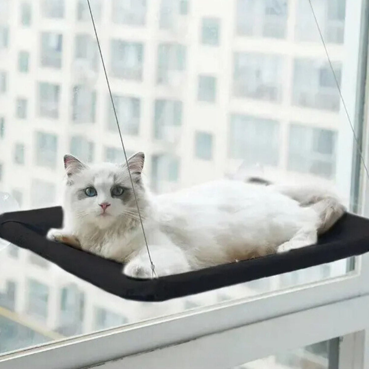 Zuignap Kattenhangmat voor aan je raam
